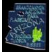 ARIZONA PIN AZ STATE SHAPE PINS